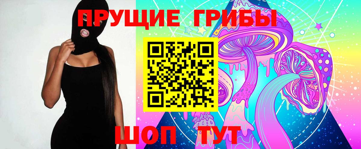 Киров  купить наркоту  Вход с VPN  Галлюциногенные грибы MAGIC MUSHROOMS  Псилоцибиновые грибы Magic Shrooms 